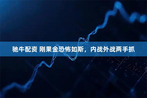 驰牛配资 刚果金恐怖如斯，内战外战两手抓