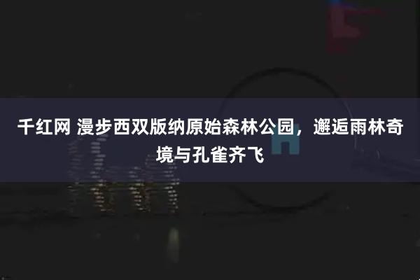 千红网 漫步西双版纳原始森林公园，邂逅雨林奇境与孔雀齐飞