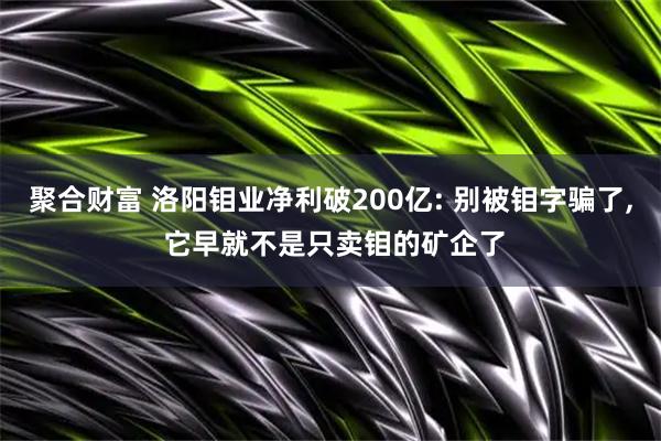 聚合财富 洛阳钼业净利破200亿: 别被钼字骗了, 它早就不是只卖钼的矿企了