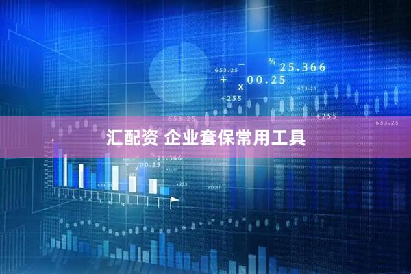 汇配资 企业套保常用工具