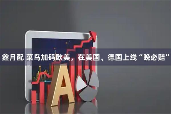 鑫月配 菜鸟加码欧美，在美国、德国上线“晚必赔”