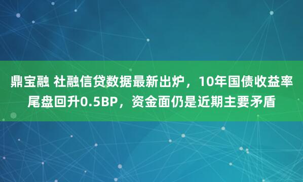 鼎宝融 社融信贷数据最新出炉，10年国债收益率尾盘回升0.5BP，资金面仍是近期主要矛盾
