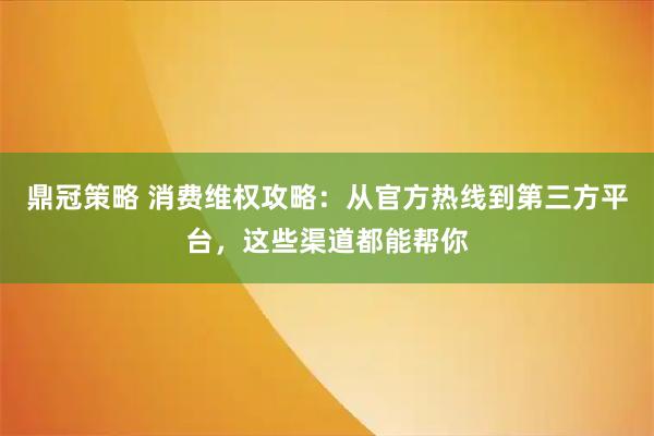 鼎冠策略 消费维权攻略：从官方热线到第三方平台，这些渠道都能帮你