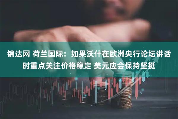 锦达网 荷兰国际：如果沃什在欧洲央行论坛讲话时重点关注价格稳定 美元应会保持坚挺