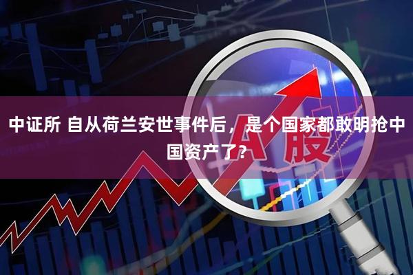 中证所 自从荷兰安世事件后，是个国家都敢明抢中国资产了？