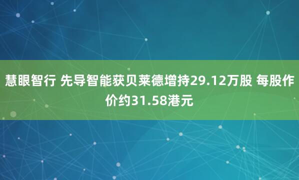 慧眼智行 先导智能获贝莱德增持29.12万股 每股作价约31.58港元