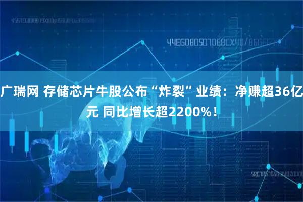 广瑞网 存储芯片牛股公布“炸裂”业绩：净赚超36亿元 同比增长超2200%！